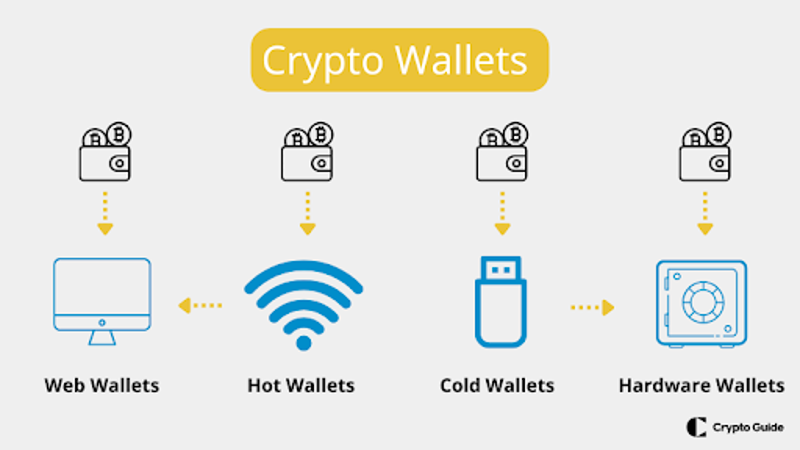 Comment choisir un portefeuille de crypto-monnaies.
