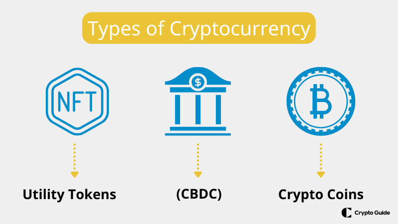 Différents types de crypto-monnaies.
