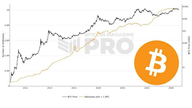 Graphique montrant le nombre d'adresses Bitcoin détenant 1 BTC
